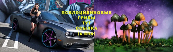 первитин Богородск