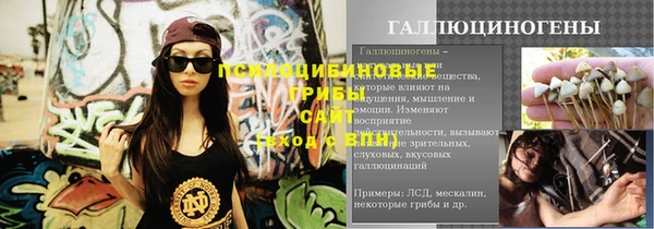 MDMA Богородицк