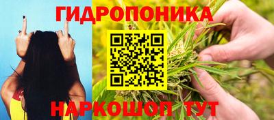 ПСИЛОЦИБИНОВЫЕ ГРИБЫ Анапа