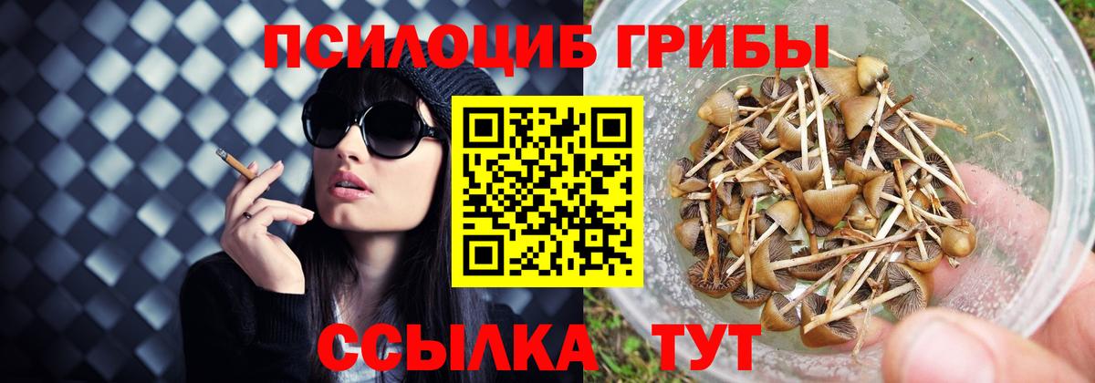 Верхний Уфалей  Галлюциногенные грибы мухоморы  дарнет шоп  Вход с VPN 
